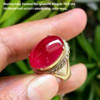 ราคา ทับทิมพม่าแท้ แดงเนื้อแก้ว ใสสวย 16.5 กะนัต Red ruby Burma Mogok (1734781837009061564)