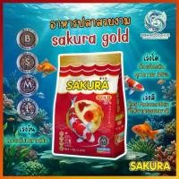 ราคา ซากุระ ขนาด 1 kg. SAKURA Gold อาหารปลาทอง ปลาหางนกยูง ปลาคราฟ เร่งสี เร่งโต เร่งวุ้น (1734894681797657911)