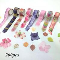 ราคา andabc 200PCS ซากุระ ตกแต่ง สติ๊กเกอร์ สมุดภาพ กระดาษกาว กระดาษเหนียว เทปกลีบดอกไม้ (1735386409551299679)