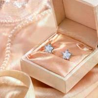 ราคา ต่างหูดาวห้าปลายหินออปอลสาวหวาน สแตนเลสไม่ระคายเคืองผิว สไตล์น่ารักใสสะอาด น่ารัก สร้อย ลอก ดํา ทองปลอม ไม่ สาย มู ของ แท้ สแตนเลส ต่าง ใส่ ติด อาย หู รัก คอ หิน หยก ร้าน ต่างห (1735379711864309391)