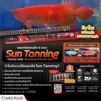ราคา หลอดไฟ Led Sun Tanning สีแดง แบบ 6 แถว สีแดง (1735413576612415231)
