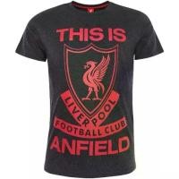 ราคา เสื้อยืด ลิเวอร์พูลแฟนคลับ This is Anfield - Liverpool FC This is Anfield T-ShirtS-5XL S-5XL (1734351067550615531)