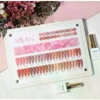 ราคา สีเจลโทนนู้ด โทนนู้ดชมพู Milan 22 สี รุ่น TT-22-P แถมชาร์ตสี สีทาเล็บเจลยกเซตโทนนู้ด ชมพู (1730634076922612322)
