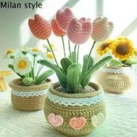 ราคา MILAN ดอกเดซี่กุหลาบทิวลิป ชุดดอกไม้โครเชต์ ไม่ซ้ำใคร ไหมพรมทำมือ กระถางดอกทิวลิป กระถางปลูกต้นไม้ ไม่มีการตกแต่ง ชุดถักโครเชต์ดอกไม้ สำหรับผู้หญิง (1735233682465981595)
