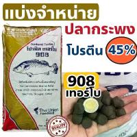 ราคา ของใหม่ พร้อมส่ง ProFeed อาหารปลากระพง ปลากินเนื้อ โปรฟีด โปรตีน 40% อาหารปลาทะเล 908เทอร์โบ ตักแบ่ง คําแนะนําผลิตภัณฑ์ใหม่ของเดือนนี้ ล็อค เมคอัพ (1735184845890225903)
