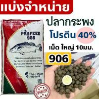 ราคา ของใหม่ พร้อมส่ง ProFeed อาหารปลากระพง ปลากินเนื้อ โปรฟีด โปรตีน 40% อาหารปลาทะเล 906 ตักแบ่ง คําแนะนําผลิตภัณฑ์ใหม่ของเดือนนี้ (1735334676619429704)