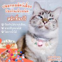 ราคา ปลอกคอหมาแมวกันเห็บหมัด สลักชื่อฟรี #ฟรีกระดิ่ง (1729562429523594118)