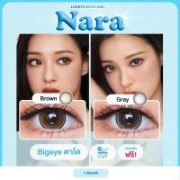 ราคา *มีสายตา* คอนแทคเลนส์ Nara เทา/น้ำตาล (Wink) ขนาดตาโต บิ๊กอาย นารา ตาหวาน ตาลูกแก้ว กรองแสง (1729578274754497077)