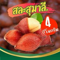 ราคา สละสุมาลี 4 กิโลกรัม ไม่รวมกล่อง (1730383716686006638)