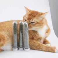 ราคา แคทนิปแมว กัญชาแมว แบบผงบดละเอียด จาก catnip 100% หญ้าแมวบำรุงแมวอ้วน ตำแยแมว ราคาถูก (1731792603859356074)
