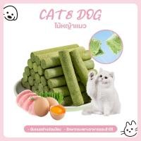ราคา 【CAT&DOG】หญ้าแมวฟรีซดราย หญ้าแมวแห้ง ต้นอ่อนข้าวสาลี หญ้าแมวแท่ง ขนมหญ้าแมว ผลิตจากต้นอ่อนข้าวสาลี (1732293852688058804)