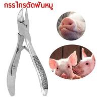 ราคา กรรไกรตัดฟันหมู กรรไกรตัดฟันสัตว์ กรรไกรตัดเขี้ยว คีมตัดฟันลูกหมู กระต่าย ตัดเขี้ยวหมู กรรไกรตัดเขี้ยวหมู กรรไกรตัดเขี้ยว สแตนเลส (1730704829641427518)