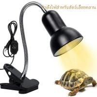 ราคา UVA + UVB 3.0 สัตว์เลื้อยคลานชุดโคมไฟเครื่องวัดอุณหภูมิเครื่องวัดความชื้นจิ้งจกเต่าเต่า SB ถามความร้อนหลอดไฟ 220V (1731287624413252503)