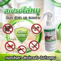 ราคา (ซื้อ1แถม1) - สเปรย์ไล่หนู ไล่แมลงสาบ ไล่จิ้งจก ไล่ตุ๊กแก และสัตว์เลื้อยคลาน ปลอดภัยต่อคน ใช้ได้ทั้งในบ้านและรถยนต์ สเปรย์ ไล่ หนู ใน บ้าน (1729582465319930098)