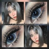 ราคา Pony, Adele eos Gray Brown,คอนแทคเลนส์ ตาโต สายตา 50-700 (1729584524911872396)