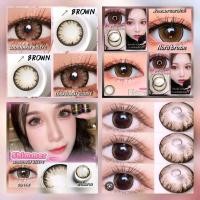 ราคา Shimmer,Icy ,Chimmer brown คอนแทคเลนส์ ตาโต (สายตา 00 ถึง -1000) (1729576205850610060)