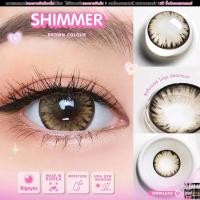 ราคา Icy, Shimmer,Chimmer brown คอนแทคเลนส์ ตาโตมาก ประกายหิมะใหญ่สุด สายตา -50 ถึง -1000 Contactlens (1729588965965728140)