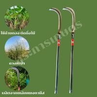 ราคา ขอชักตองยาว ตราเพชร 1เเถม1 เเมงกานีสเเท้100% (1729672724427213763)