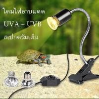 ราคา หลอดไฟให้ความร้อนและรังสี UVA + UVB 3.0 ไฟนก ไฟเต่า ไฟกิ้งก่า ไฟสัตว์เลื้อยคลาน ใช้คู่กับขั้วหลอดไฟเซรามิคE27 (1731973822123182446)