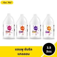 ราคา ซันซิล แกลลอน ยาสระผม ขนาดใหญ่สุดคุ้ม ใช้ได้นาน ปริมาณ 3.5 ลิตร มีให้เลือก 4 สูตร (1729668023637412353)