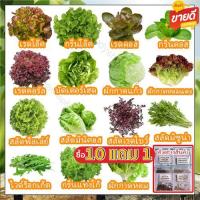 ราคา เมล็ดพันธุ์อินทรีย์ 100-200 เมล็ด ชุดผักสลัด 20 ชนิด เรดคอส กรีนคอส บัตเตอร์เฮด เรดโอ๊ค กรีนโอ๊ค (1729583425444743611)
