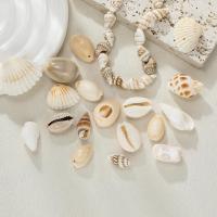 ราคา จี้เปลือกหอยธรรมชาติ เซนต์ คังเค้า 10 ชิ้น หลายสไตล์ ลูกปัดหอยสังข์ สำหรับทำสร้อยข้อมือและสร้อยคอ DIY (1731885796278766353)