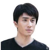 ราคา วิกผมผู้ชาย วิกผมวัยกลางคนและผู้สูงอายุ วิกผมชุดสำหรับผู้ชาย วิกผมมนุษย์เทียมเต็มหัว วิกผมหล่อ (1729723257793448732)