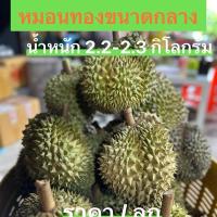 ราคา ทุเรียนหมอนทองชุมพรขนาดกลาง น้ำหนัก 2.2- 2.3 กิโลกรัม ราคา/ลูก (1731993501257205698)