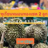 ราคา ทุเรียนหมอนทอง (เซต 2 ลูก) น้ำหนัก 4.0-4.1 กิโลกรัม (1732035224907057090)