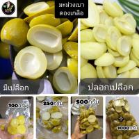 ราคา มะม่วงเบาดอง มะม่วงเบาใต้แท้ ทุกขนาด บรรจุแพ็คซีล เป็นธรรมชาติ ออร์แกนิก (1729709494048950562)