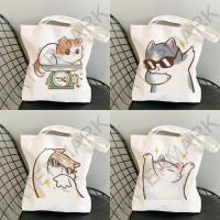 ราคา กระเป๋าผ้า มินิมอล 10 ลายแมว ขนาด 34*37cm Tote Bag TT-127 (1731907003830208843)