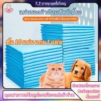 ราคา 5 ชิ้น ค่ะ รองฉี่สุนัข แผ่นรองฉี่แมว ผ้าฉี่สุนัข รองฉี่หมา แผ่นรองฉี่ รองฉี่ ซึมซับไดีดี เหมาะสำหรับแมวและสุนัข (1730489408563677502)