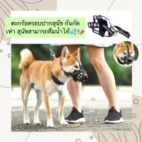 ราคา BS-458 ตะกร้อครอบปากสุนัข กันกัด เห่า สุนัขสามารถดื่มน้ำได้ ที่ครอบปากสุนัข ราคาถูก พร้อมส่ง (1729672863720638646)