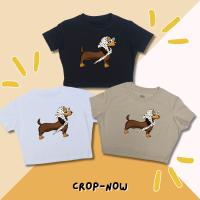 ราคา CropNow เสื้อครอป ลาย น้องหมาผ้าพันคอ สุดชิค เสื้อ ผู้หญิง สีเอิร์ธโทน (1731874518479965167)