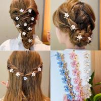 ราคา ชุดกิ๊บติดผมเกาหลี 10 ชิ้น กิ๊บติดผมดอกไม้มินิซากุระสาวหวาน ผ้าโพกศีรษะแต่งงานเจ้าสาว เครื่องประดับผม (1729920421736384826)