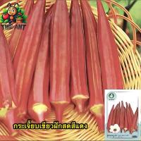 ราคา (ซื้อ1แถม4)กระเจี๊ยบเขียวฝักสดสีแดง ซองละ50-60เมล็ดเมล็ดพันธุ์ราคาถูก เมล็ดพันธุ์ออร์แกนิค เมล็ดพันธุ์หายาก เมล็ดพันธุ์นำเข้า เมล็ดพันธุ์ผัก สวนผัก ชุดปลูกผัก (1729713115919846161)