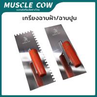 ราคา MUSCLE COW เกรียงฉาบปูน เคียงยอดมิน เกียงสี่เหลี่ยม เกียงพลกิ๊ก เกียงส แดนเลสัน เลขยอดมิน 10" เกียงเกียงกว ขามปฏิเนเกียงสี่เหลี่ยม စတုဂံပုံစံ ဘိလပ်မြေပွတ်တံ (1732237295479064818)