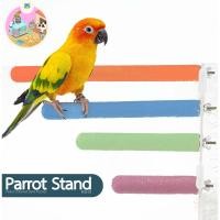ราคา 【PET PRO】คอนลับเล็บ สำหรับนก คอนแบบติดกรง มีหลายขนาด สีสุ่ม คอนลับเล็บ คอนยืนนกแก้ว คอนนกแก้ว คอนลับเล็บนก คอนลับเล็บชูก้า กระรอก สีพาสเทล (1731647906669692158)