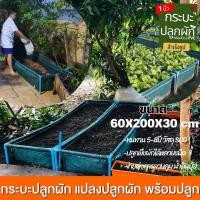 ราคา กระบะปลูกผัก (พร้อมโครง/ไม่รวมโครง)ขนาด 60x200x30 cm. กะบะเพาะปลูก แปลงผักเพาะปลูก (1731687174326027449)