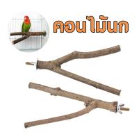 ราคา คอนไม้นก คอนไม้ คอนไม้ลับเล็บ คอนไม้เกาะยืน คอนไม้ธรรมชาติ สองแฉก สำหรับนกแก้ว นกฟอพัส นกกรงหัวจุก (1729761498496600503)