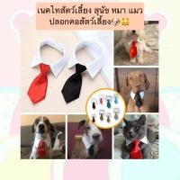 ราคา BS-417 เนคไทสัตว์เลี้ยง สุนัข หมา แมวปลอกคอสัตว์เลี้ยง เนคไท ปรับสายได้ ดีไซน์เรียบหรู ราคาถูก พร้อมส่ง️ (1729670823221430454)