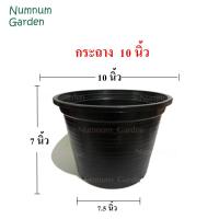 ราคา กระถางดำ 10 นิ้ว กระถางต้นไม้พลาสติก กระถางกระบองเพชร กระถางแคคตัส กระถางดำ กระถางพลาสติก กระถางต้นไม้ (1729674679471213087)