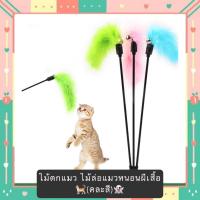 ราคา BS-397 ไม้ตกแมว ไม้ล่อแมวหนอนผีเสื้อ (คละสี) ของเล่นแมว ยาว 50 cm. ราคาถูก พร้อมส่ง (1729670675555059894)