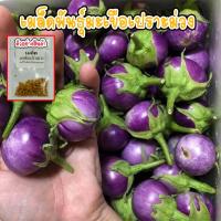 ราคา มะเขือเปราะม่วงกลม เมล็ดพันธุ์ 40-600 เมล็ด (1729803904622102971)
