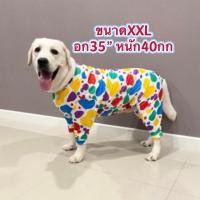 ราคา พร้อมส่งเสื้อสุนัข กันขนร่วง สุนัขขนาดใหญ่ เสื้อหมา โกลเด้น ลาบราดอร์ ไซบีเรีย ขนาดกลางถึงOver size!! (1729740790925789334)