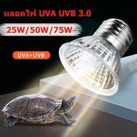 ราคา หลอดไฟ UVA/UVB 3.0 สำหรับเต่าน้ำและเต่าบก (1729978333907028813)