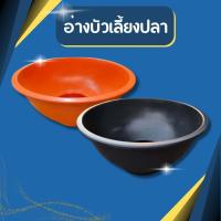 ราคา อ่างบัวเลี้ยงปลา เลี้ยงกบ ขนาด 25 นิ้ว กระถางจัมโบ้ อ่างบัว อ่างปลา กระถางใหญ่ กระถางไซส์ใหญ่ (1729633176023697654)