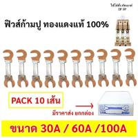 ราคา Chang (แพ็ค 10 / 100 เส้น) ฟิวส์ก้ามปู ใช้ได้ทั้ง คัทเอาท์ 2P 3P ฟิวส์ ระบบไฟฟ้า ทองแดงแท้ 100% (เลือกขนาด 30A/60A/100A (1730779970282162812)