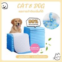 ราคา 【CAT&DOG】แผ่นรองฉี่สุนัข แผ่นรองฉี่ ต่อต้านแบคทีเรีย ซึมซับไดีดี ผ้ารองฉี่ ถาดรองฉี่สุนัข แผ่นรองฉี่แมว ทรายแมว (1731817337506399668)