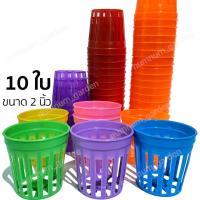ราคา 10 ใบ กระถางต้นเคราฤาษี กล้วยไม้ ทิลแลนเซีย ขนาด 2 นิ้ว กระถางต้นไม้พลาสติก กระถางปลูกต้นไม้ กระถางพลาสติก (1729650468385229343)